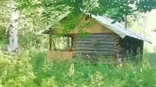 Изба в лесу.