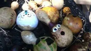 Painting Gourds