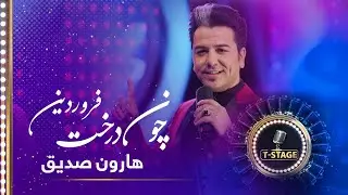 Haroon Sediq:Choon Darakht Farwardin (Like the tree in the spring) Song |هارون صدیق:چون درخت فروردین