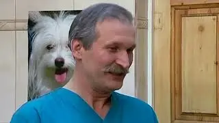 Бракосочетание | 6 кадров