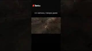 Я со своей пушкой никогда не расстанусь...#stalkershorts#сталкер#stalker#shorts#short#чистоенебо
