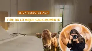 HOY CREO EN LOS SUEÑOS 🫶
