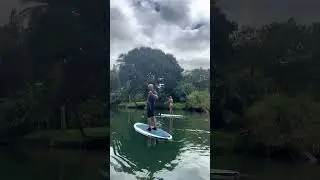 Paddling the 'Anahulu river is great to see turtles, improve your turns and to relax 🐢🌴🧘🏼‍♀️