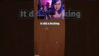 Payday 3 streamer loses it with this troll sound!