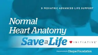 4a: Normal Heart Anatomy for PALS (2026)