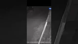 Курская область
