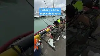 Рыбаки в Сочи / морской вокзал