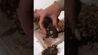 the BEST CHOCOLATE treat in a healthier way 