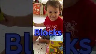 Learning the Word: Blocks with Miss Holly🧱