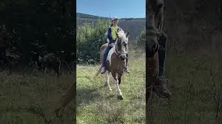 коники катают друзей, Маша с Пежей познакомились и подружились