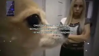 смотри какая обезьяна