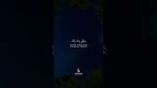 Анас Аль Имади   Сура Ар Рахман