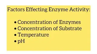 Factors Effecting Enzyme Activity|Part 2 #enzyme #csir #enzymefactors #enzymescsirnetlifescience