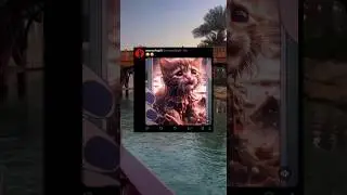 Anime edit