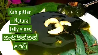 Kahipittan - Natural Jelly vines කැහිපිත්තන් ජෙලි