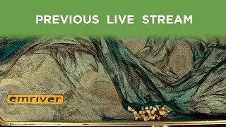 Live Stream: Groundwater Experiments
