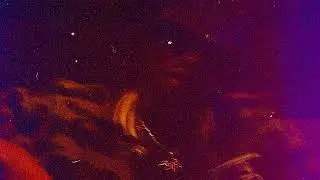Nebu Kiniza - See (Bittersweet Memories)