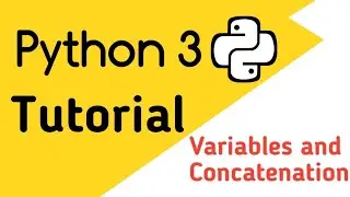 Python programming for beginners | Variables in Python and Concatenation of a variable and string