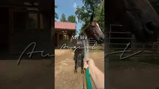 My life in august 🌻🐴🐕🐱