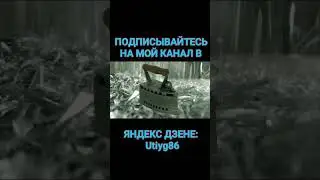 https://dzen.ru/id/62281cb0b171eb3f33ddf993