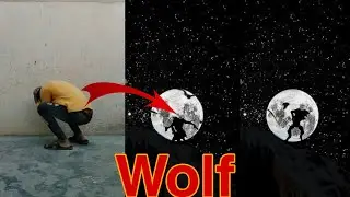 Wolf green screen video editing || Wolf vfx video editing
