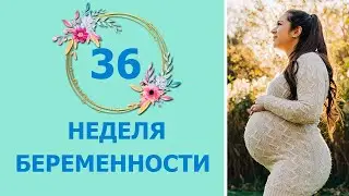 36 Неделя Беременности. Развитие плода и ощущения мамы
