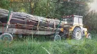 Akcja las wiosna 2017★Timberjack★Ursus C-360★Władimiriec T-25
