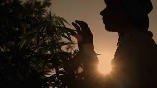 Ferme de Cagnolle - TEASER