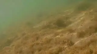 Морское дно у Керкинитиды Евпатории