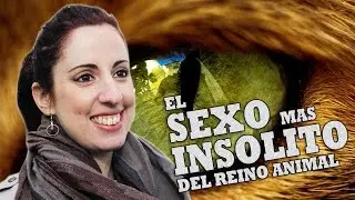 El Sexo más Insólito del Reino Animal