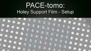 PACE-tomo: Holey Support Film - Setup