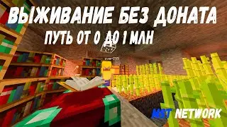 АНАРХИЯ - ВЫЖИВАНИЕ БЕЗ ДОНАТА | ПУТЬ К 1 МИЛИОНУ | MST NETWORK