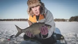 10 КГ ЛЕЩА за пол часа в глухозимье. Крупный лещ в глухозимье. Бешеный клёв леща.