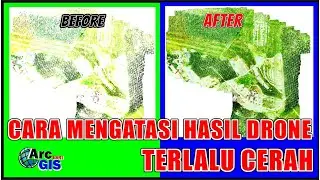 Cara Mengubah Hasil Drone yang Terlalu Terang Menjadi Natural Menggunakan Arcgis