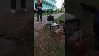 Кошечки пришли покушать😻😺