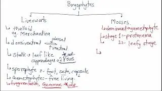 NEET Biology Series | U1C3 | PART 2 | Plant Kingdom | The Living World | NCERT | मराठी