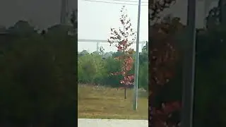 11 de setembro de 2024