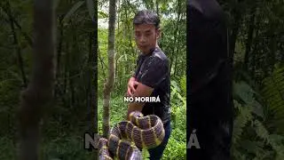 This Snake is Deadly 🐍 