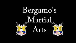 Bergamo's Martial Arts Studio Video presented at the AFKTF Banquet 2017