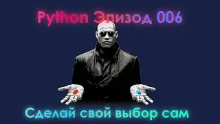 Быстро и просто про условия в Python (if, else, elif)
