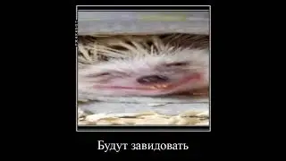 Гражданка в Германии пов