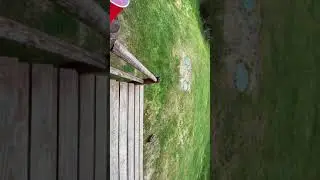 Trip