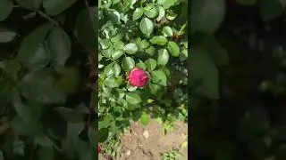 Космос на русском #отдых