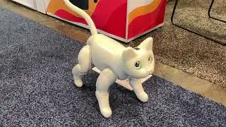 MarsCat at CES 2023