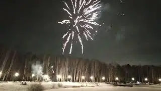 Новогодняя забава.