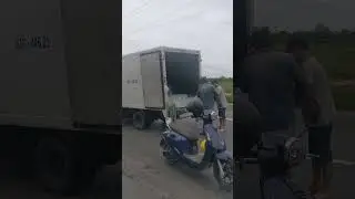 Độc lạ giao đá cây ở Bình Dương