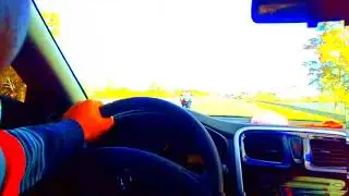 El Turro Volador