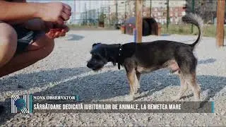 Sărbătoare dedicată iubitorilor de animale, la Remetea Mare
