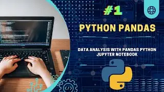 Master Data Analysis with Pandas in Jupyter Notebook — Beginner Friendly!