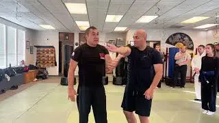 Martial Art Drill for developing in close reaction skills #fma #kali